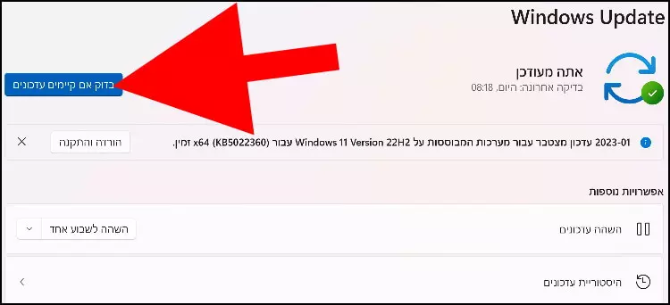 בדיקת עדכונים ידנית ב- Windows 11