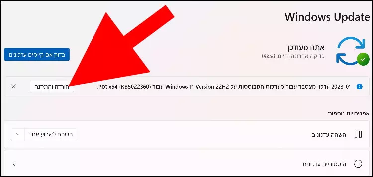 הורדה והתקנת עדכון ב- Windows 11